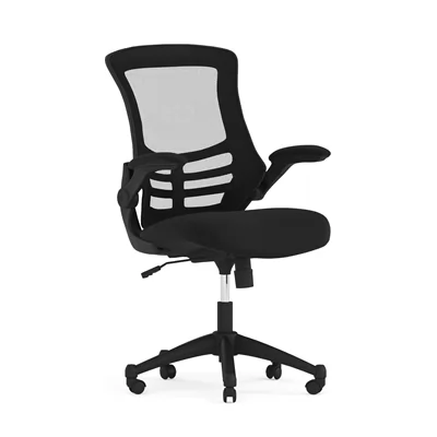 1Office Chairs Under $100